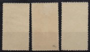 1482-1484skn-